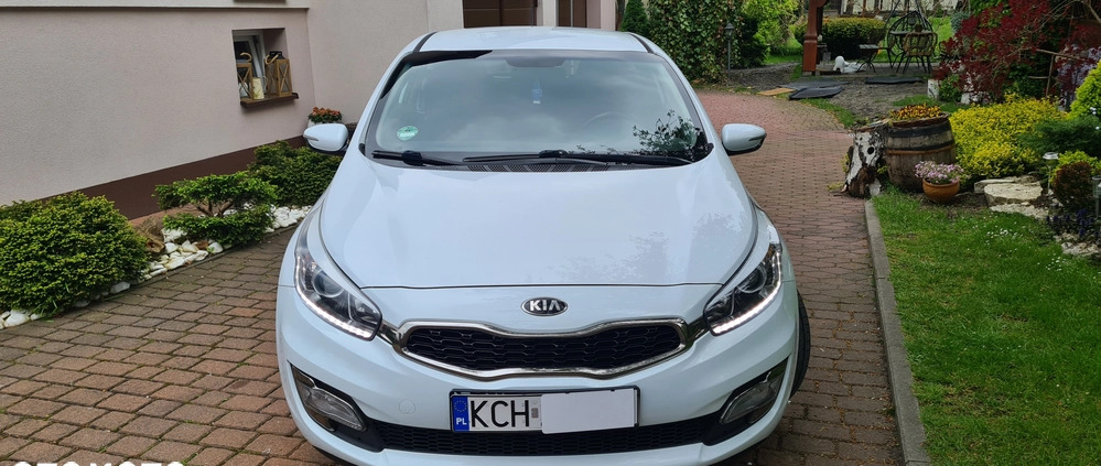 Kia Pro_cee'd cena 33900 przebieg: 190000, rok produkcji 2013 z Kietrz małe 781